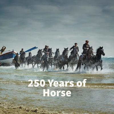250 years of horse